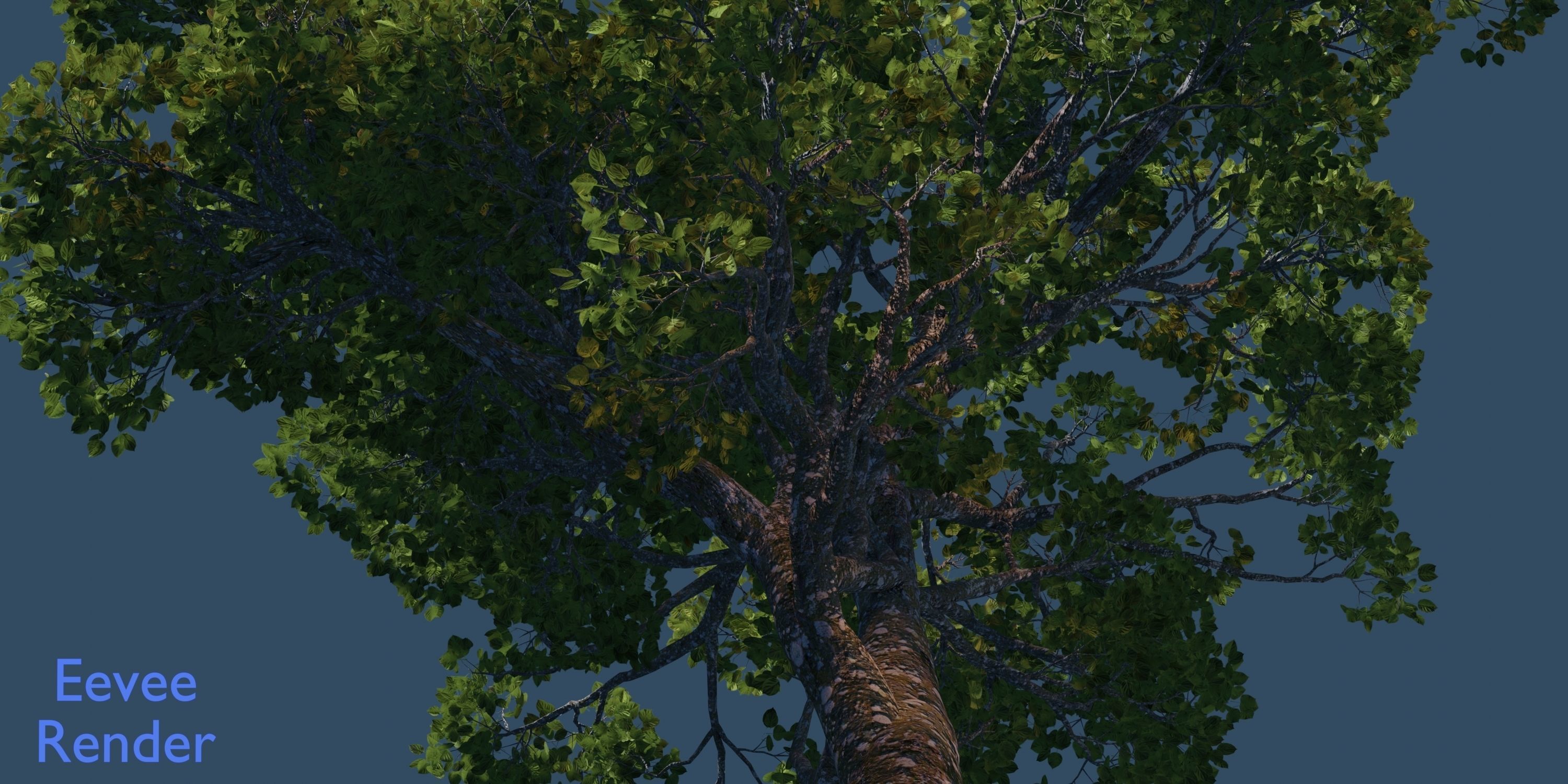 Aspen Tree Ver 0-1-9in1 3D model_12