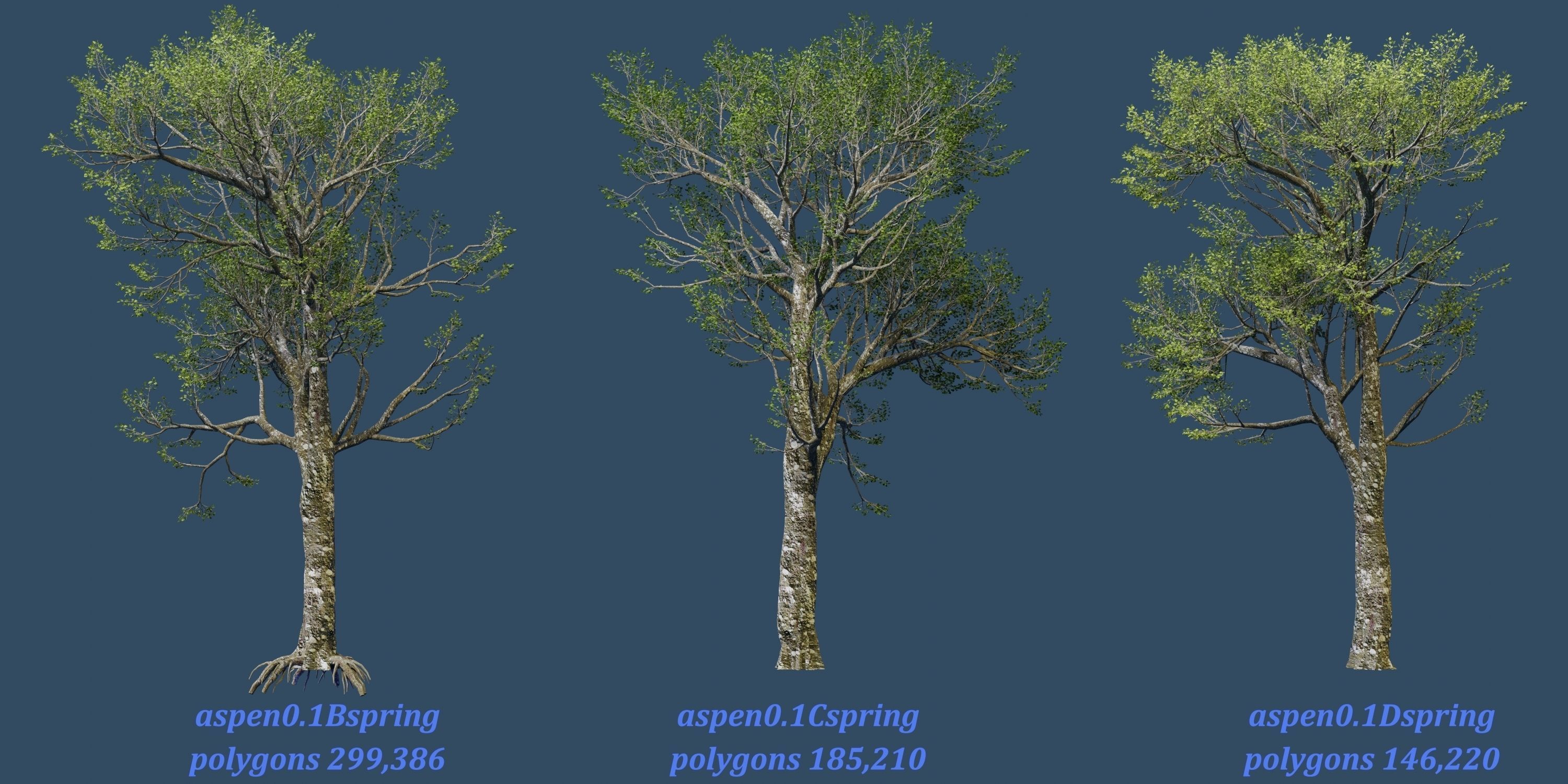 Aspen Tree Ver 0-1-9in1 3D model_11