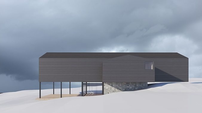 Cabin in the Woods 3D model 4