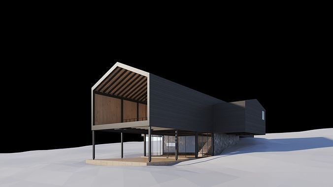 Cabin in the Woods 3D model 7