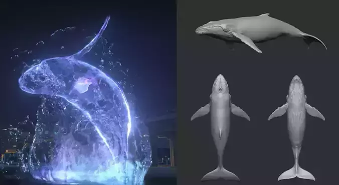 Realistic  Whale 3D Model   Low-poly 3D model
