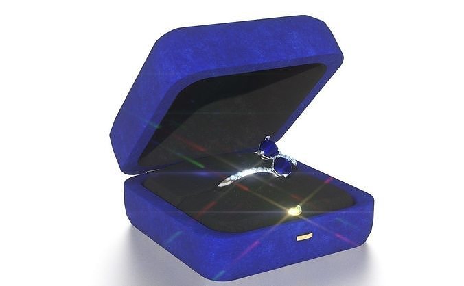 REQUEST RING 3D model