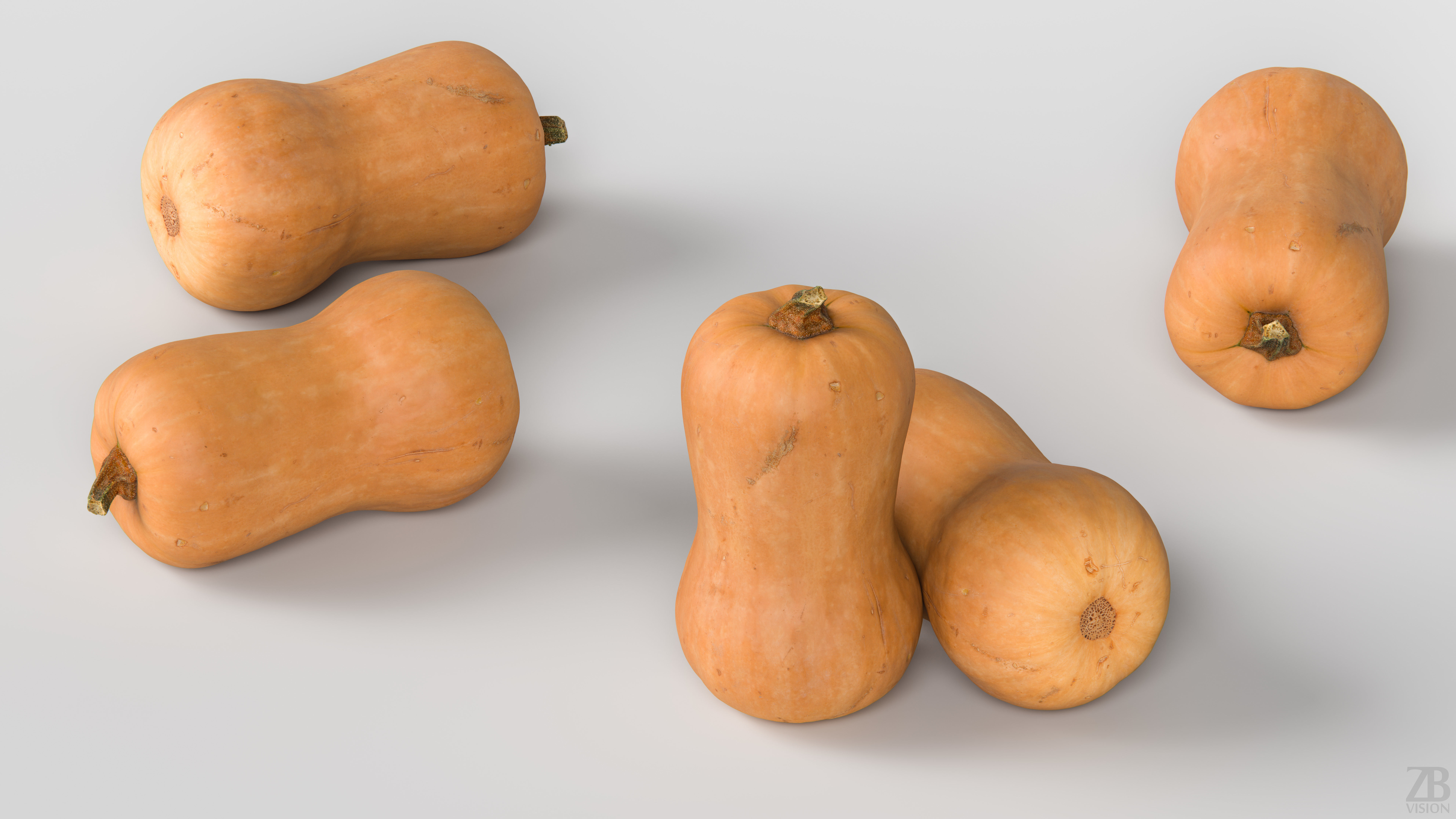 Squash 3D model_2