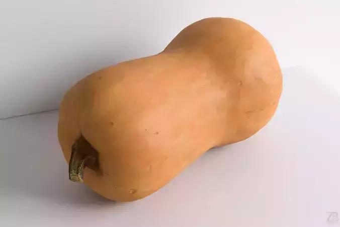 Squash 3D model Squash 3D model