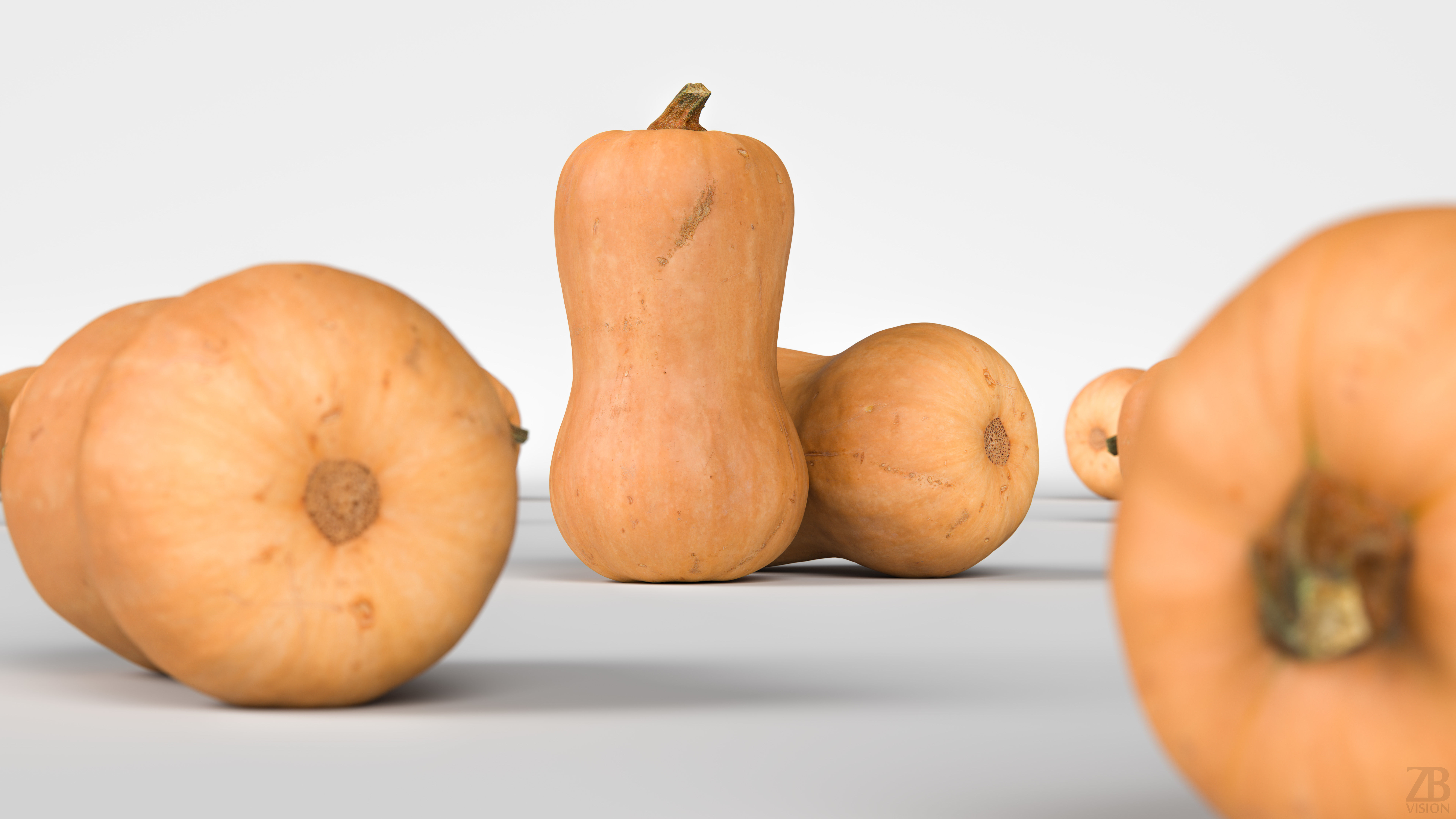 Squash 3D model_1