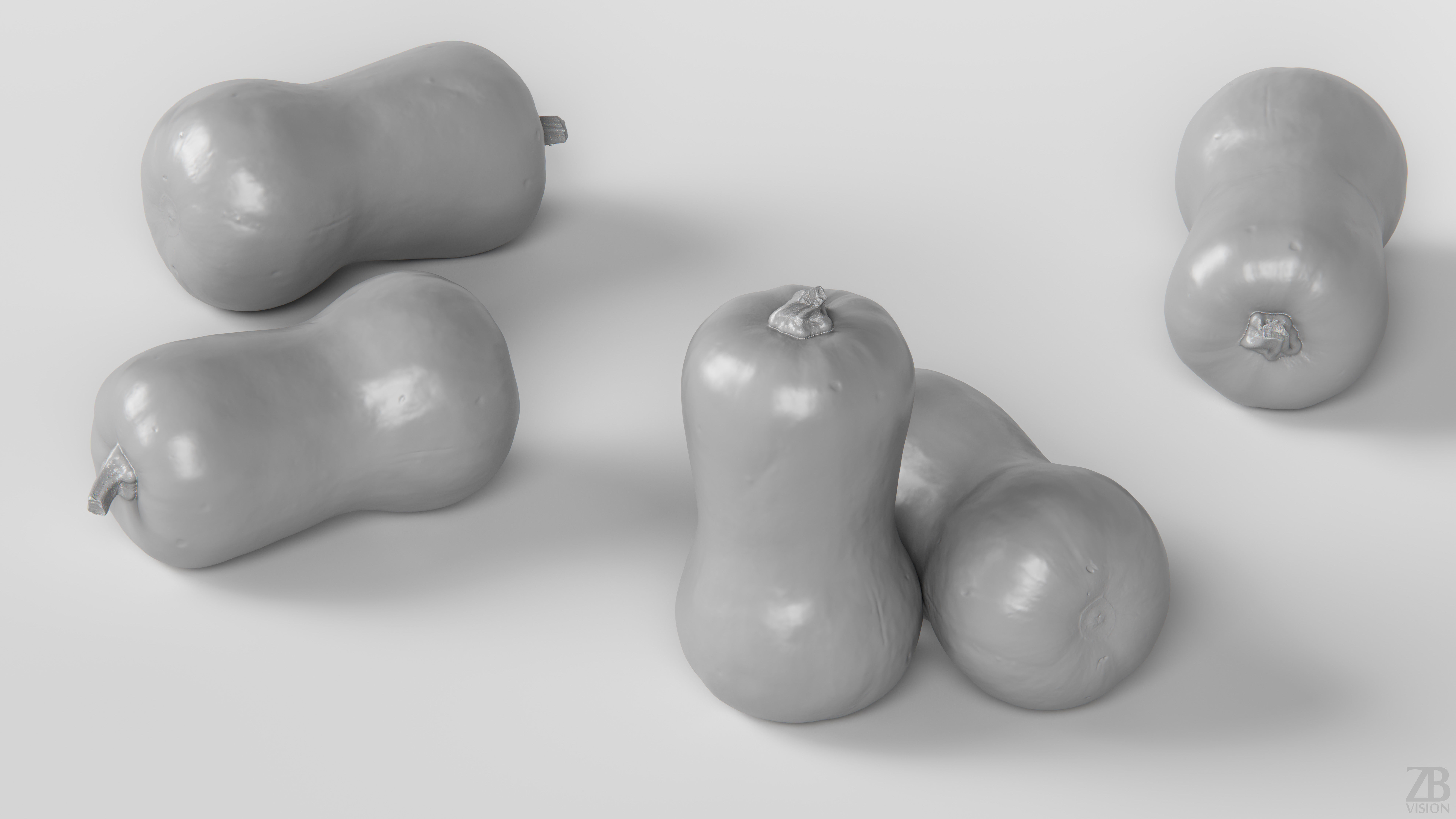 Squash 3D model_3