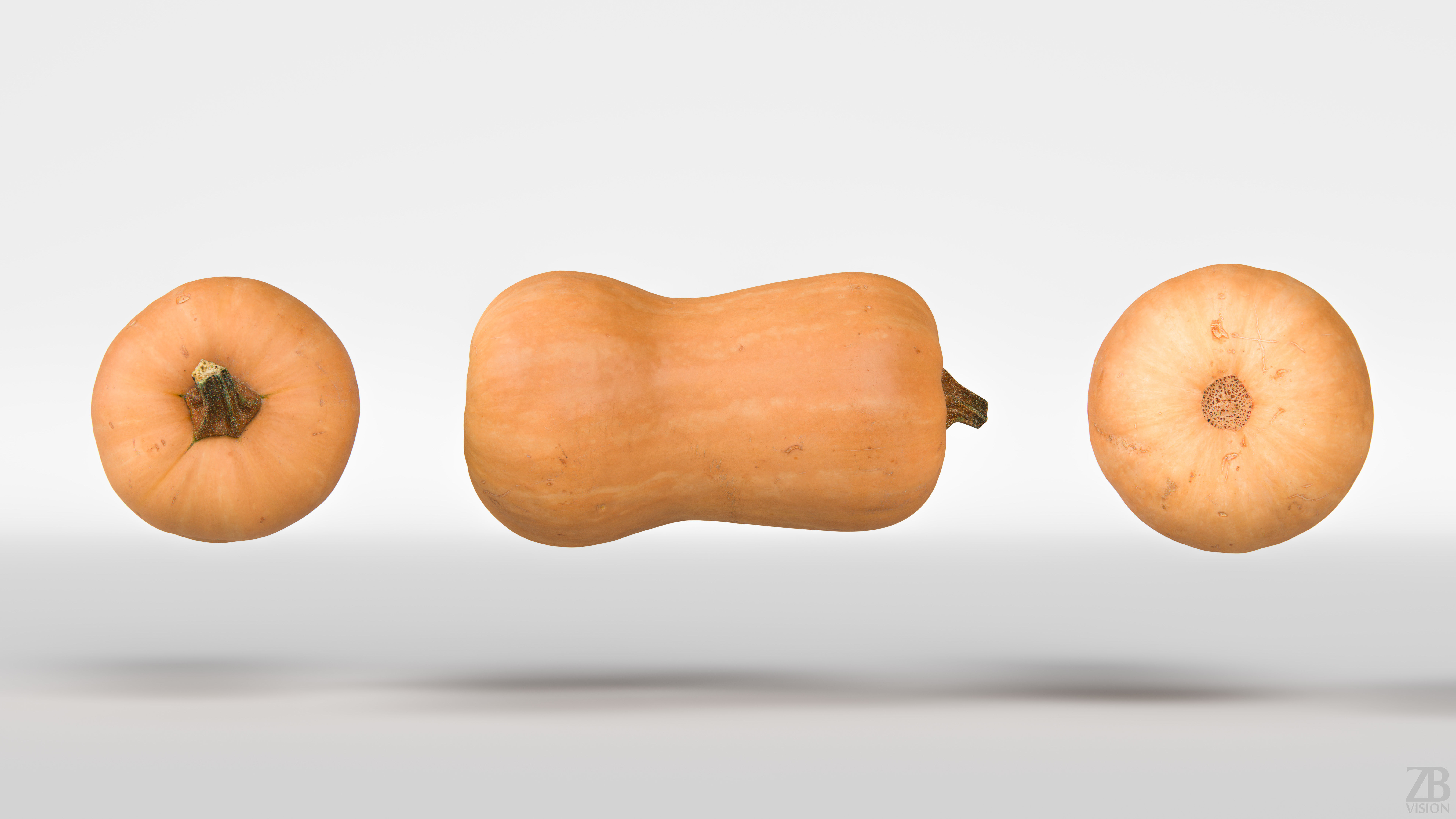 Squash 3D model_4