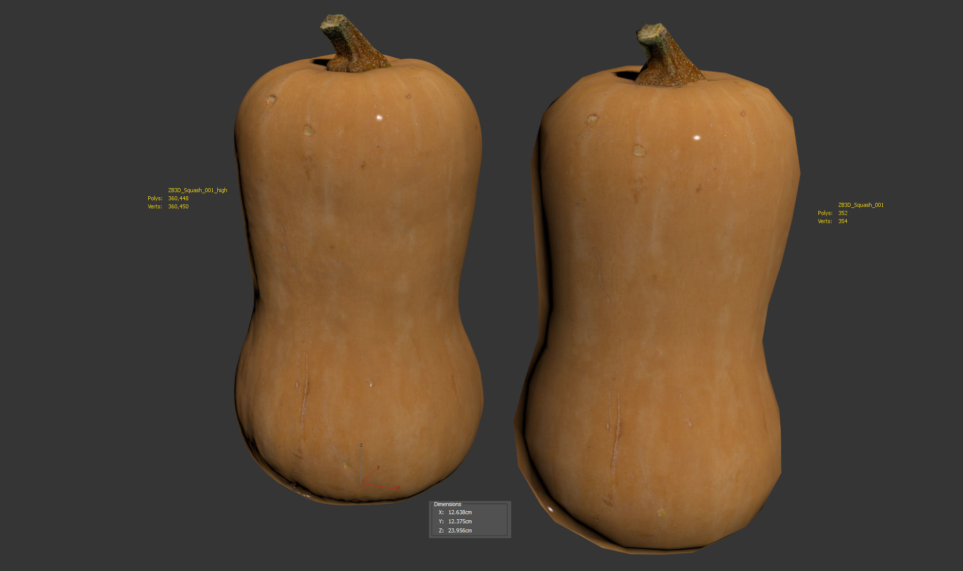 Squash 3D model_8