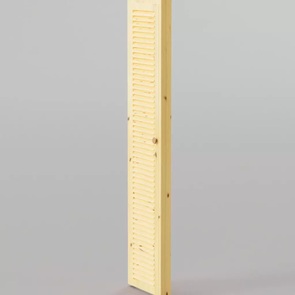 Closet wardrobe single door with small round wooden handle 3D model_0