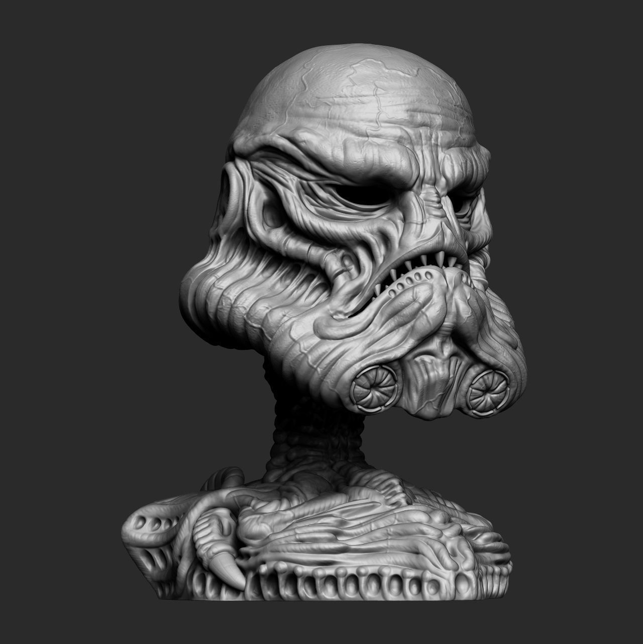 Exclusive Organic Stormtrooper helmet Star Wars 3D print model_1