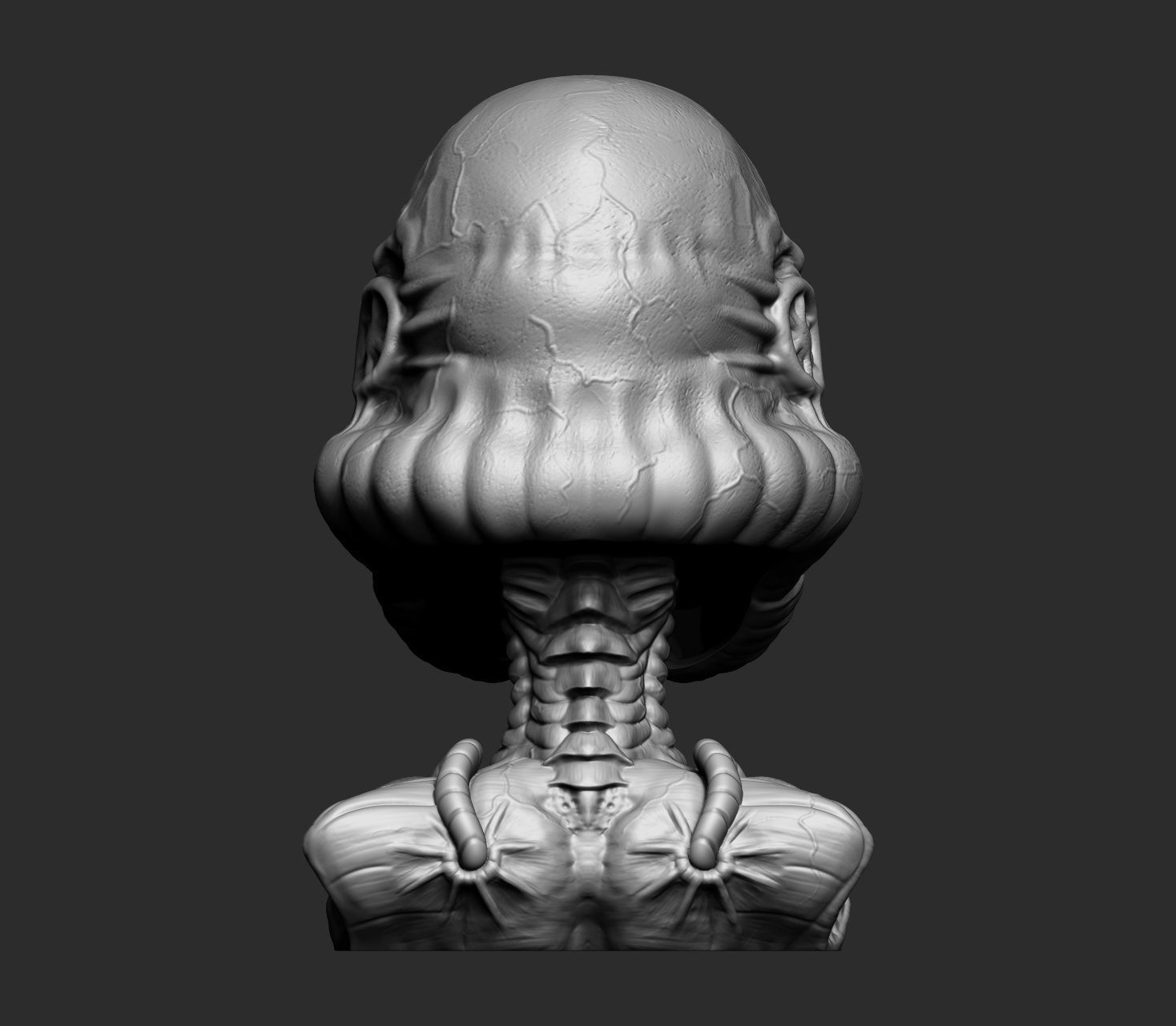 Exclusive Organic Stormtrooper helmet Star Wars 3D print model_6