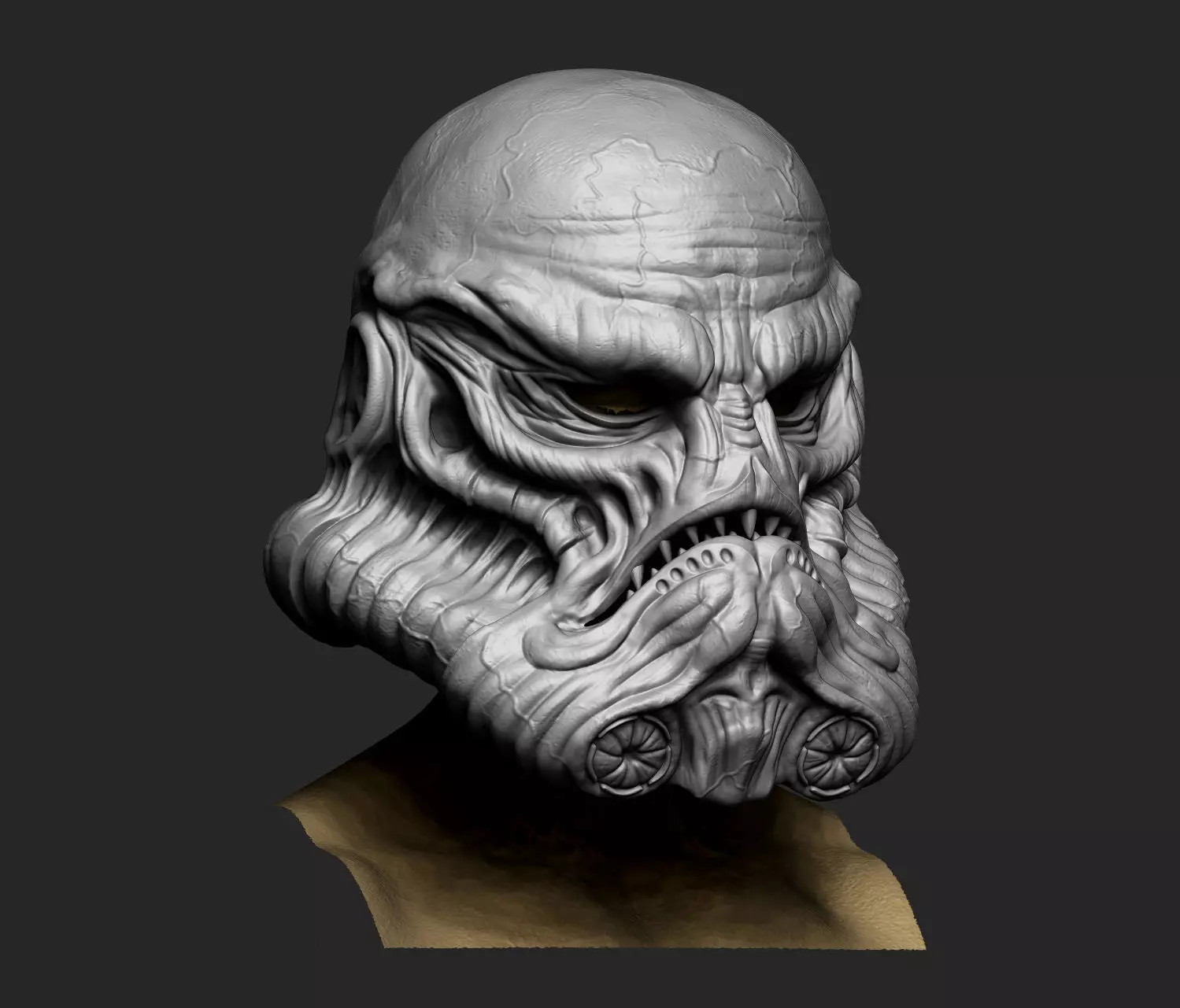 Exclusive Organic Stormtrooper helmet Star Wars 3D print model_0