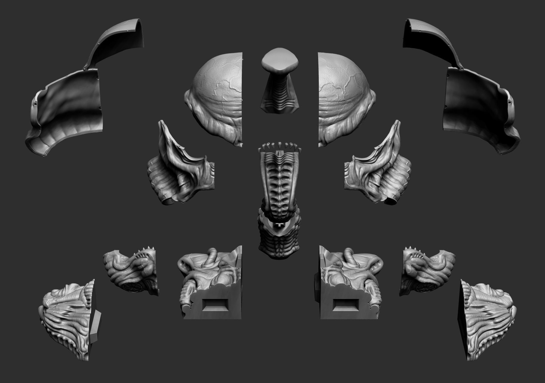 Exclusive Organic Stormtrooper helmet Star Wars 3D print model_8