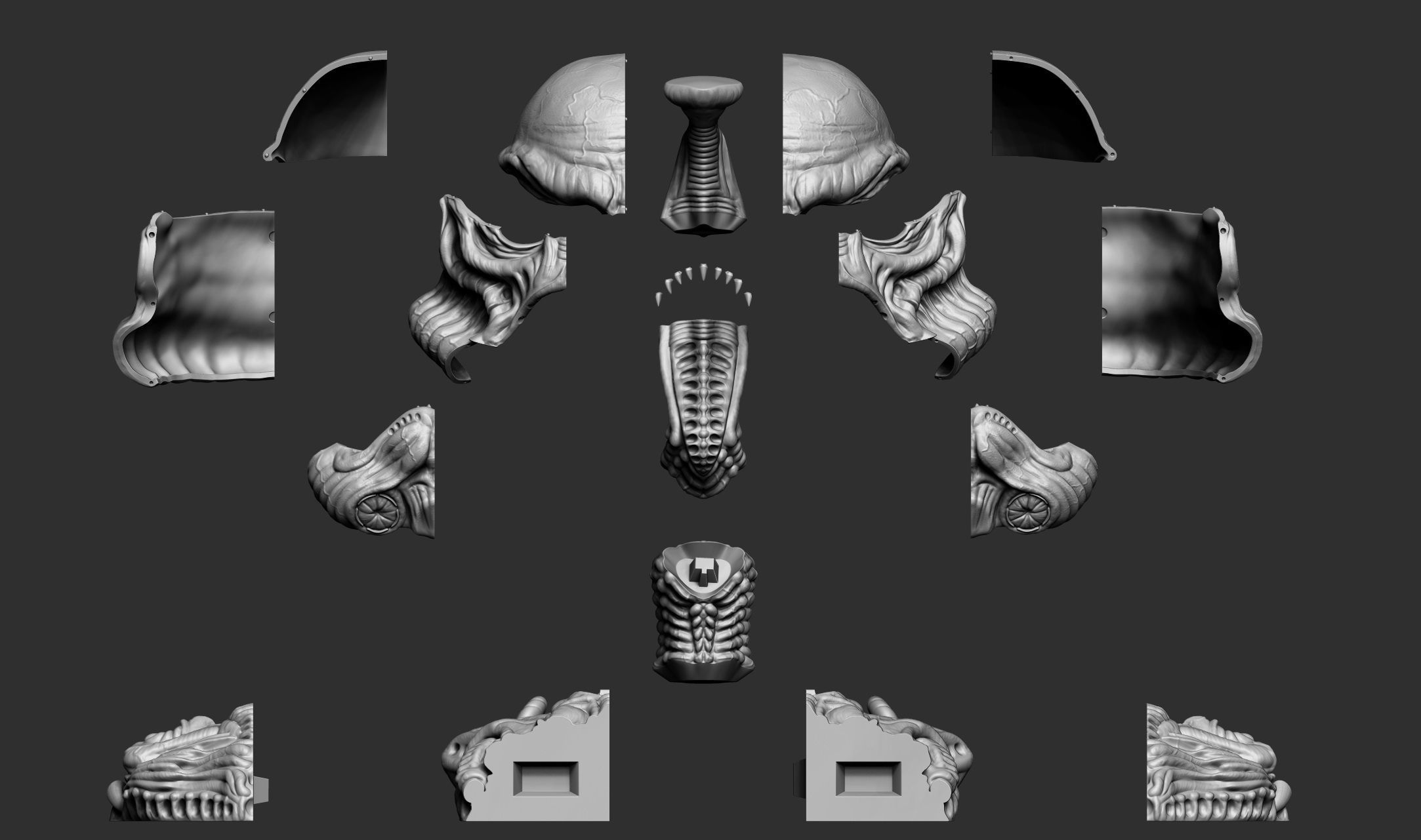 Exclusive Organic Stormtrooper helmet Star Wars 3D print model_9