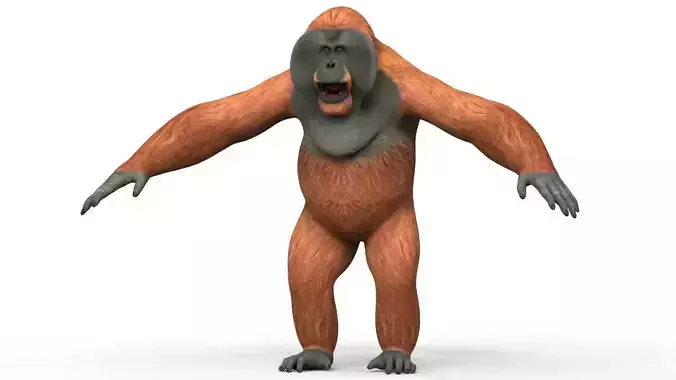 Orangutan Low-poly 3D model
