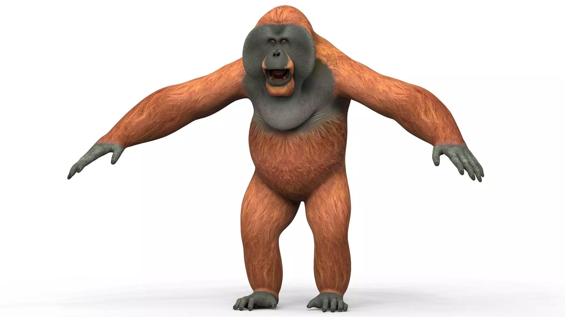 Orangutan Low-poly 3D model_0