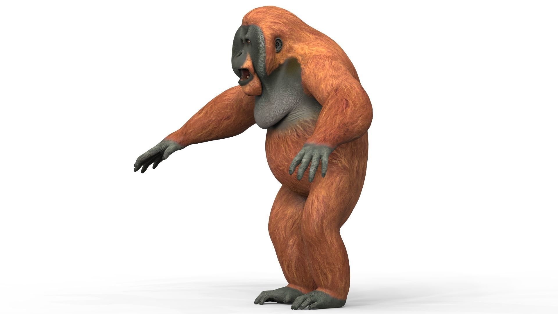Orangutan Low-poly 3D model_1