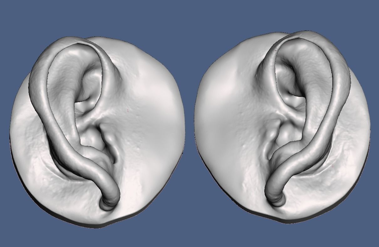 No16   Natural human ear anatomy model with surface texture  3D print model_2