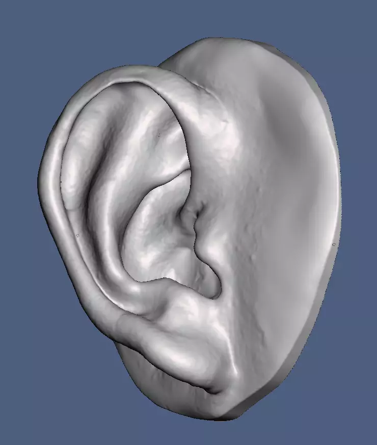 No16   Natural human ear anatomy model with surface texture  3D print model_0