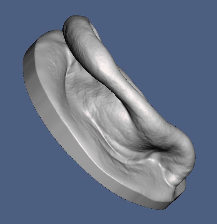 No16   Natural human ear anatomy model with surface texture  3D print model_1