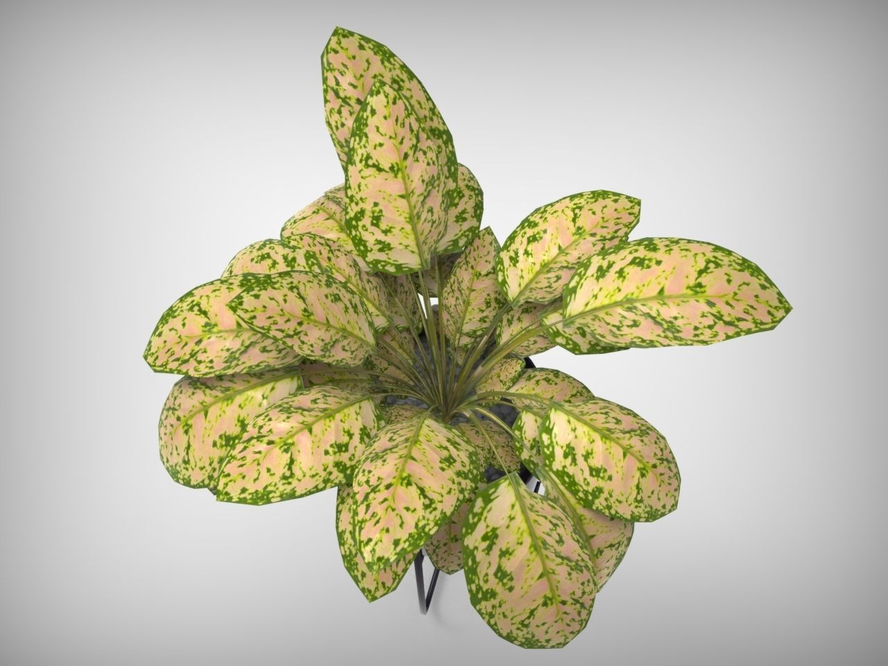 Planter Pot 3D model_3