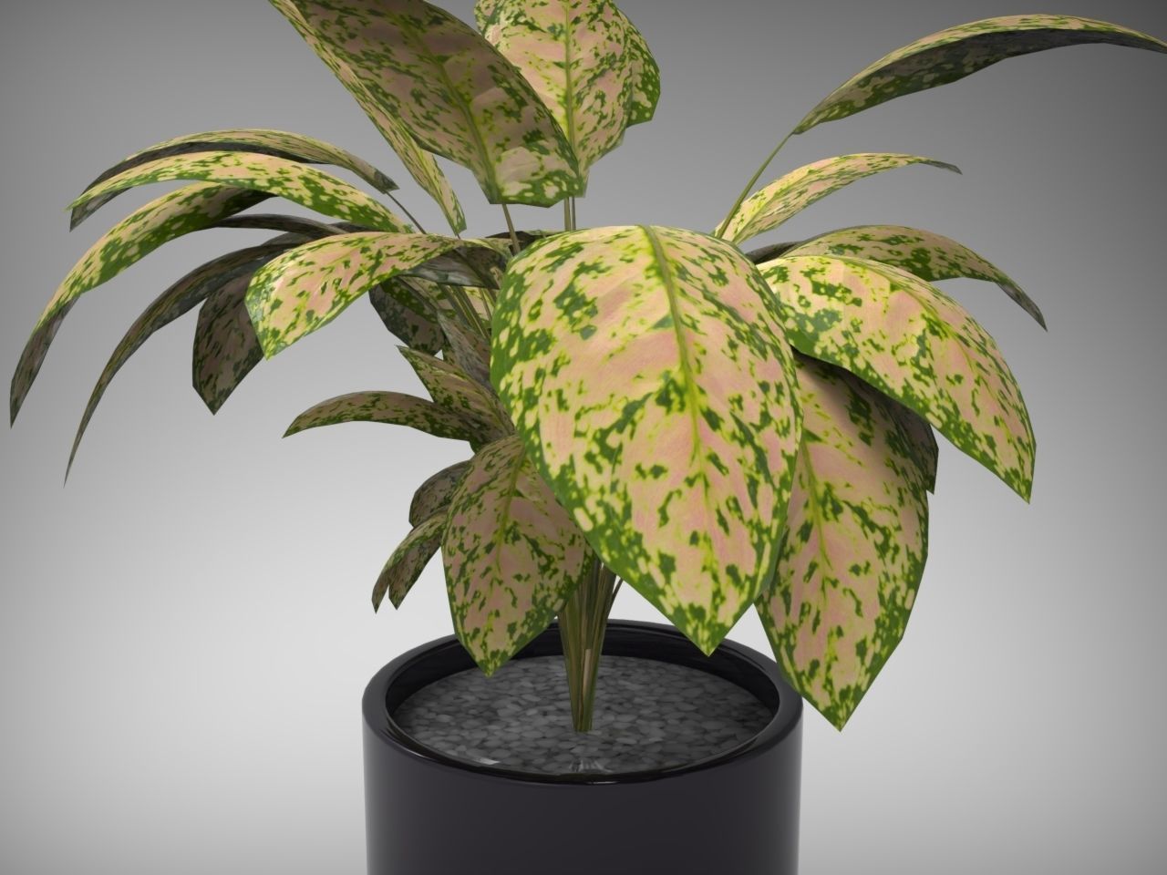Planter Pot 3D model_6