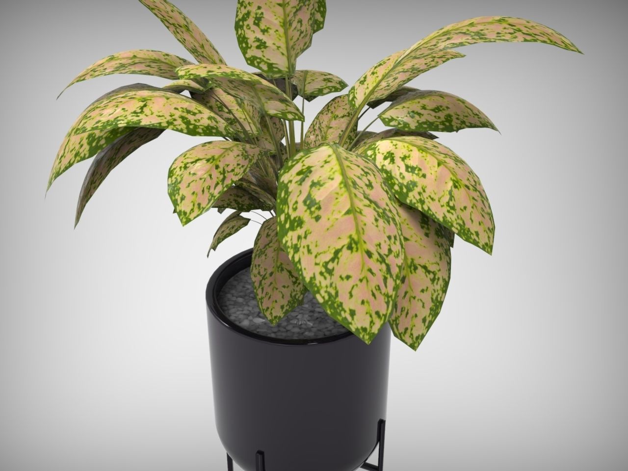 Planter Pot 3D model_4