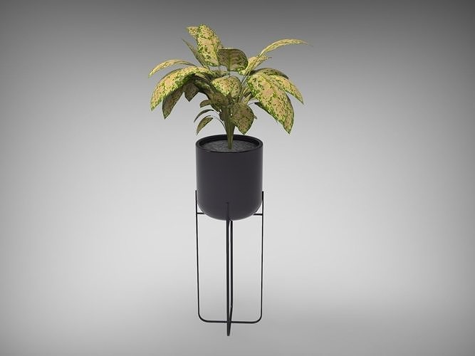 Planter Pot 3D model