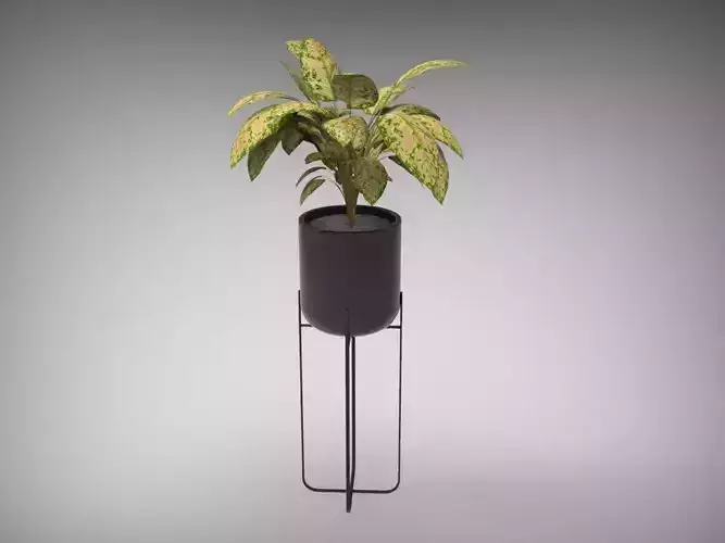 Planter Pot 3D model