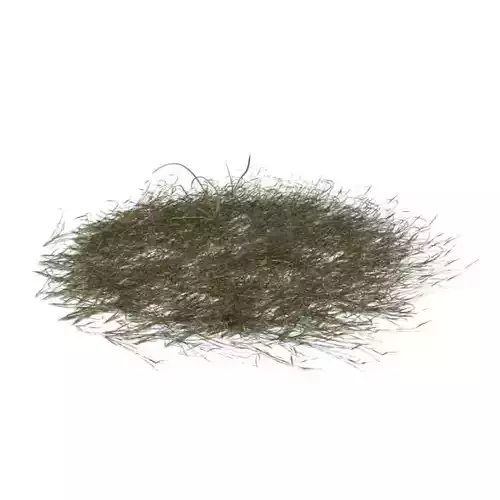 Layerable Grass Texture 3D model
