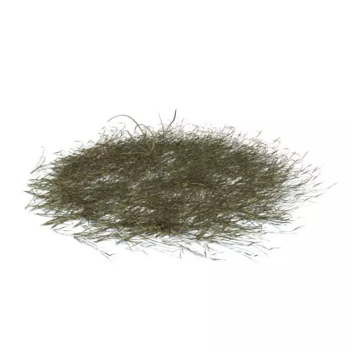 Layerable Grass Texture 3D model_0