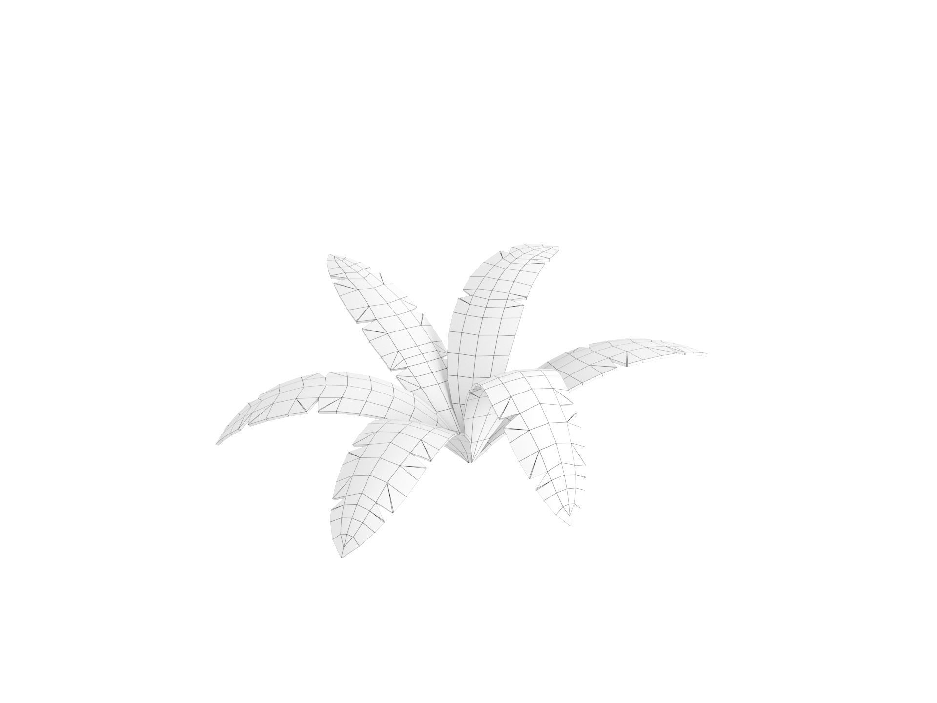 Low Poly Fern 001 Low-poly 3D model_21