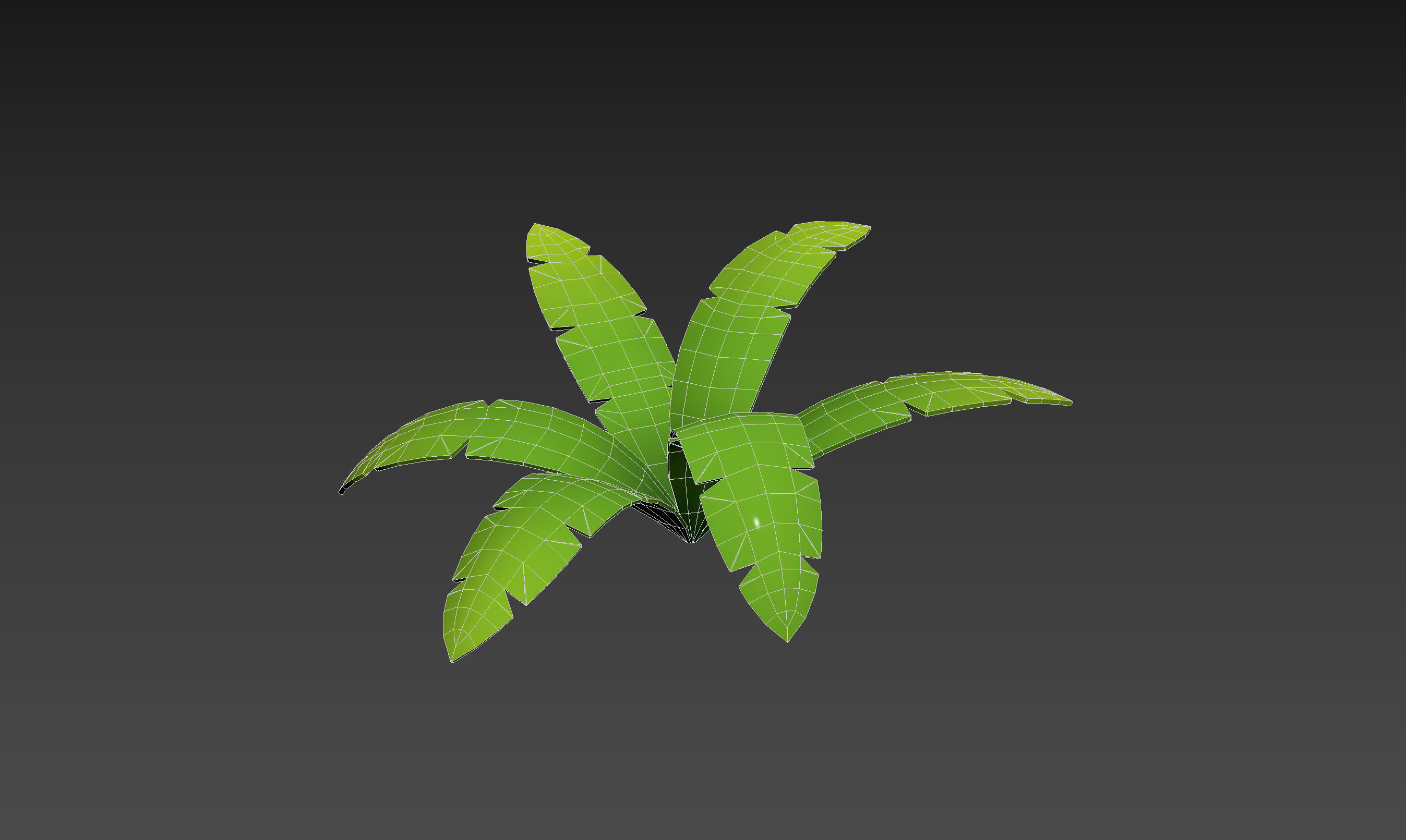 Low Poly Fern 001 Low-poly 3D model_11