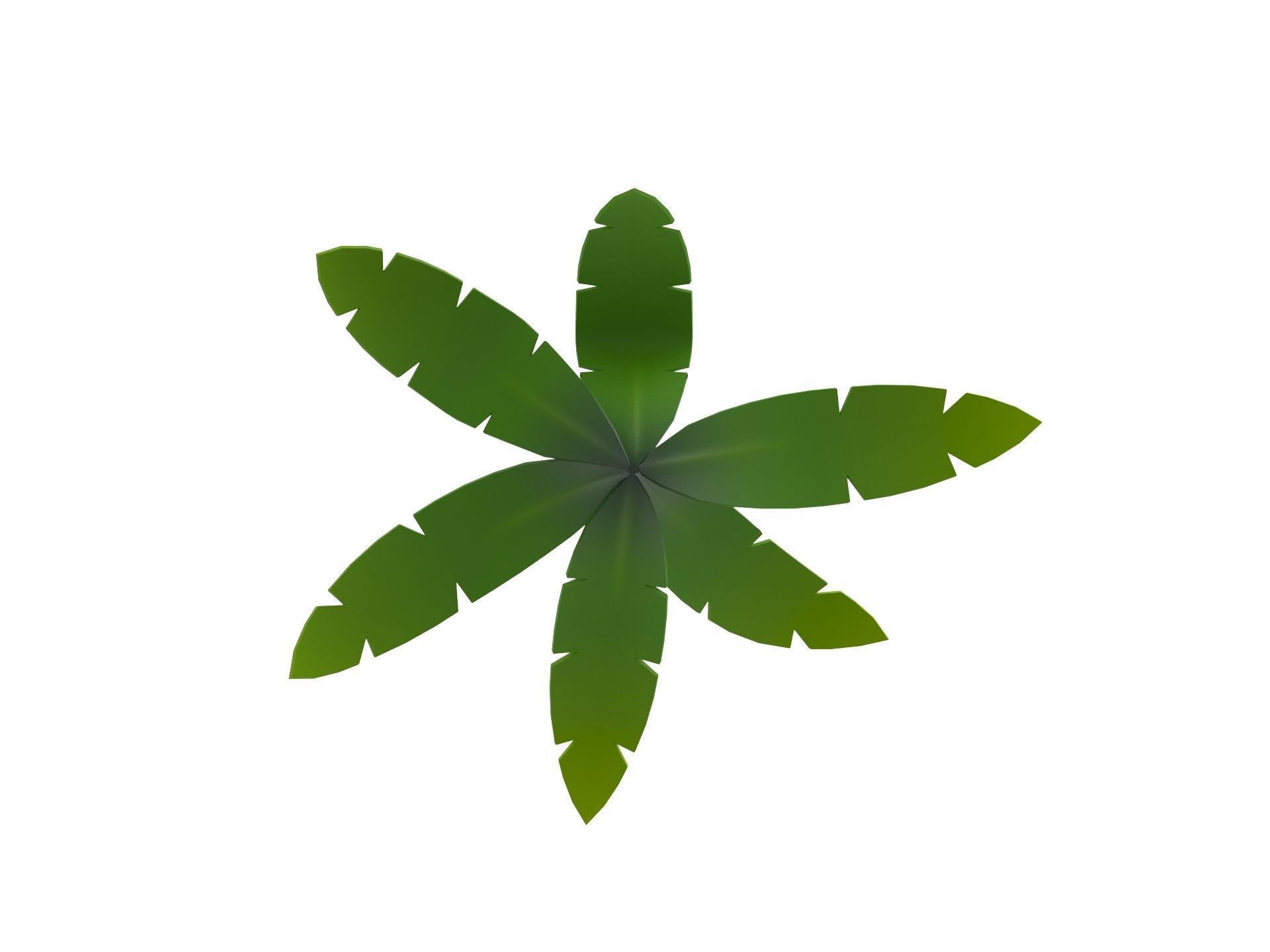 Low Poly Fern 001 Low-poly 3D model_9