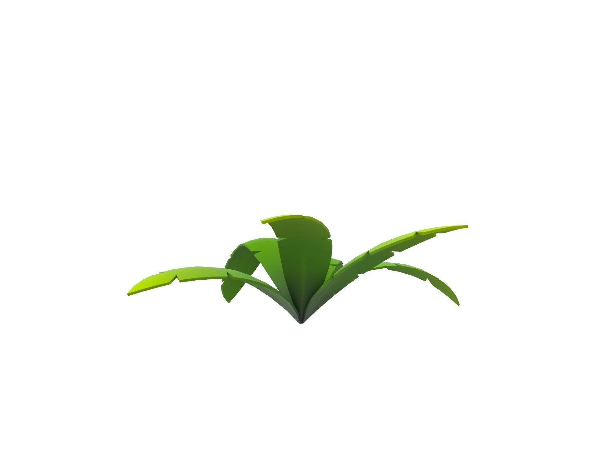 Low Poly Fern 001 Low-poly 3D model_5