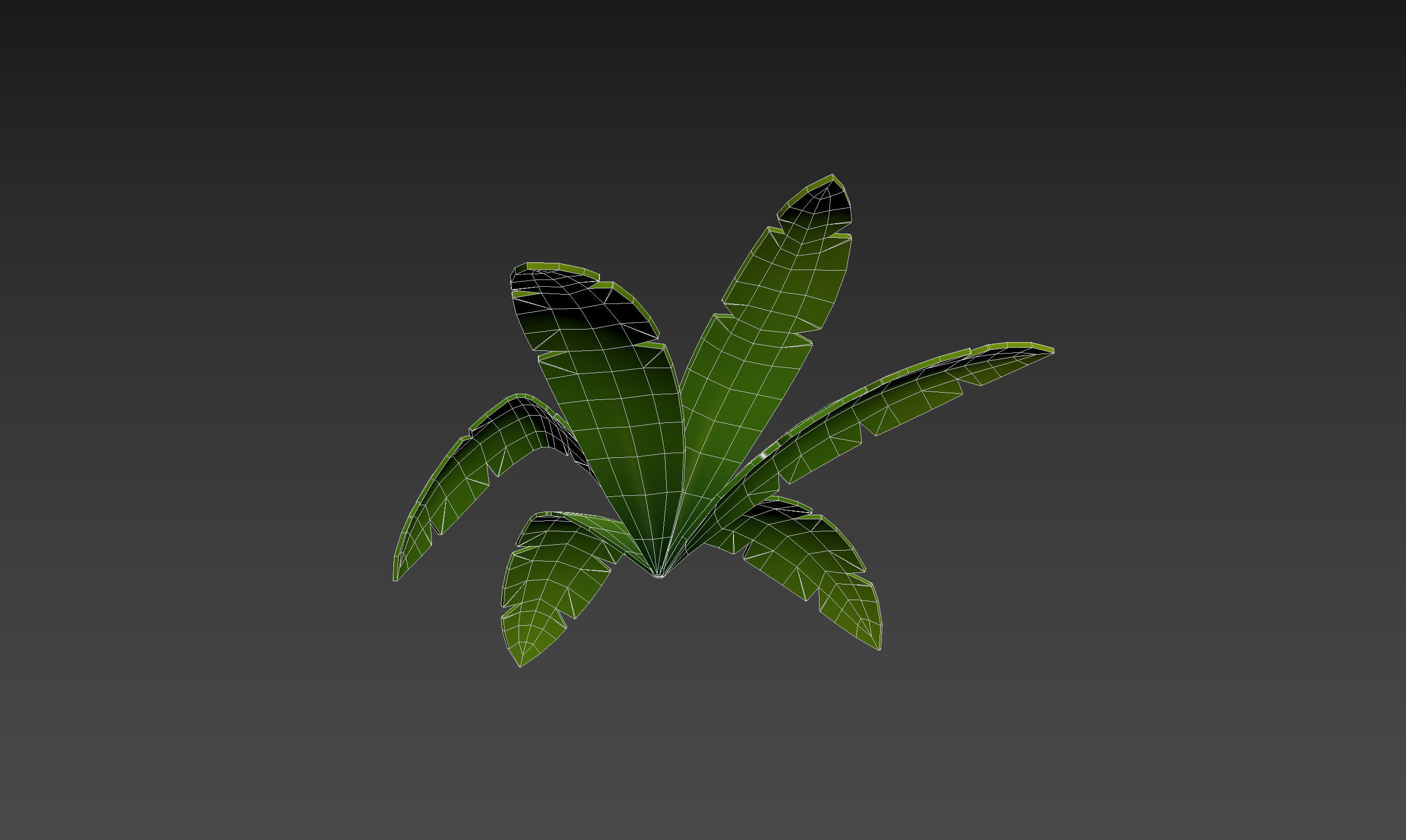 Low Poly Fern 001 Low-poly 3D model_17
