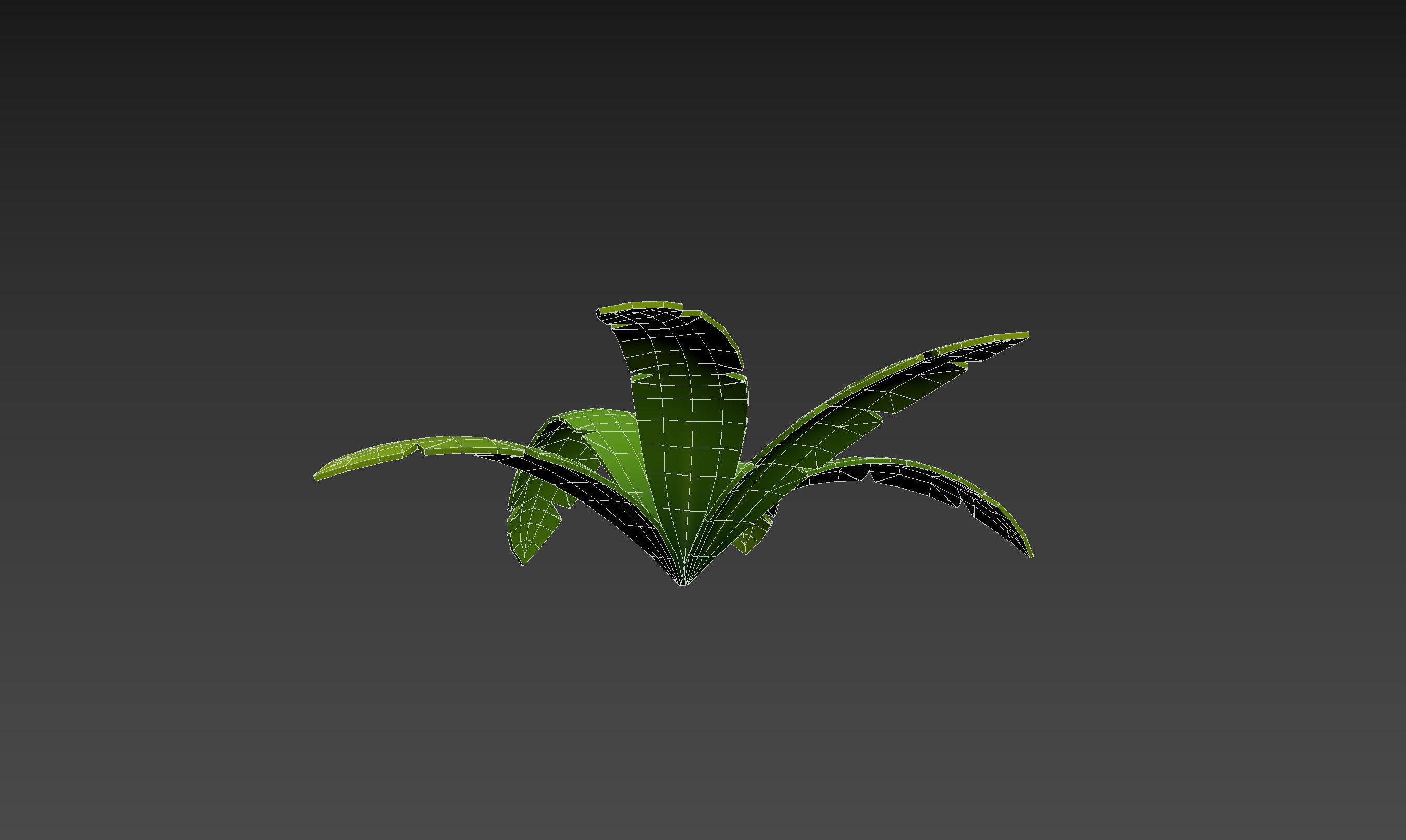 Low Poly Fern 001 Low-poly 3D model_16
