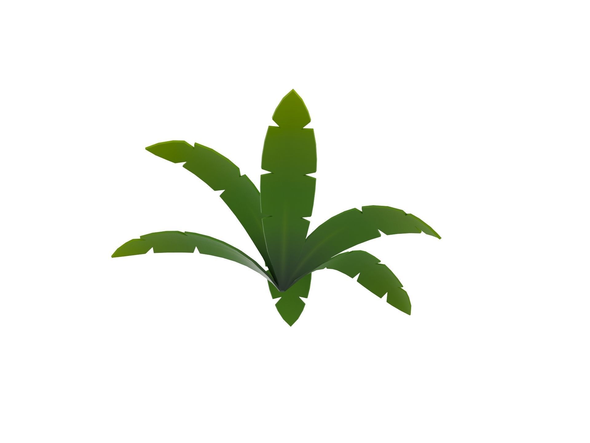 Low Poly Fern 001 Low-poly 3D model_4