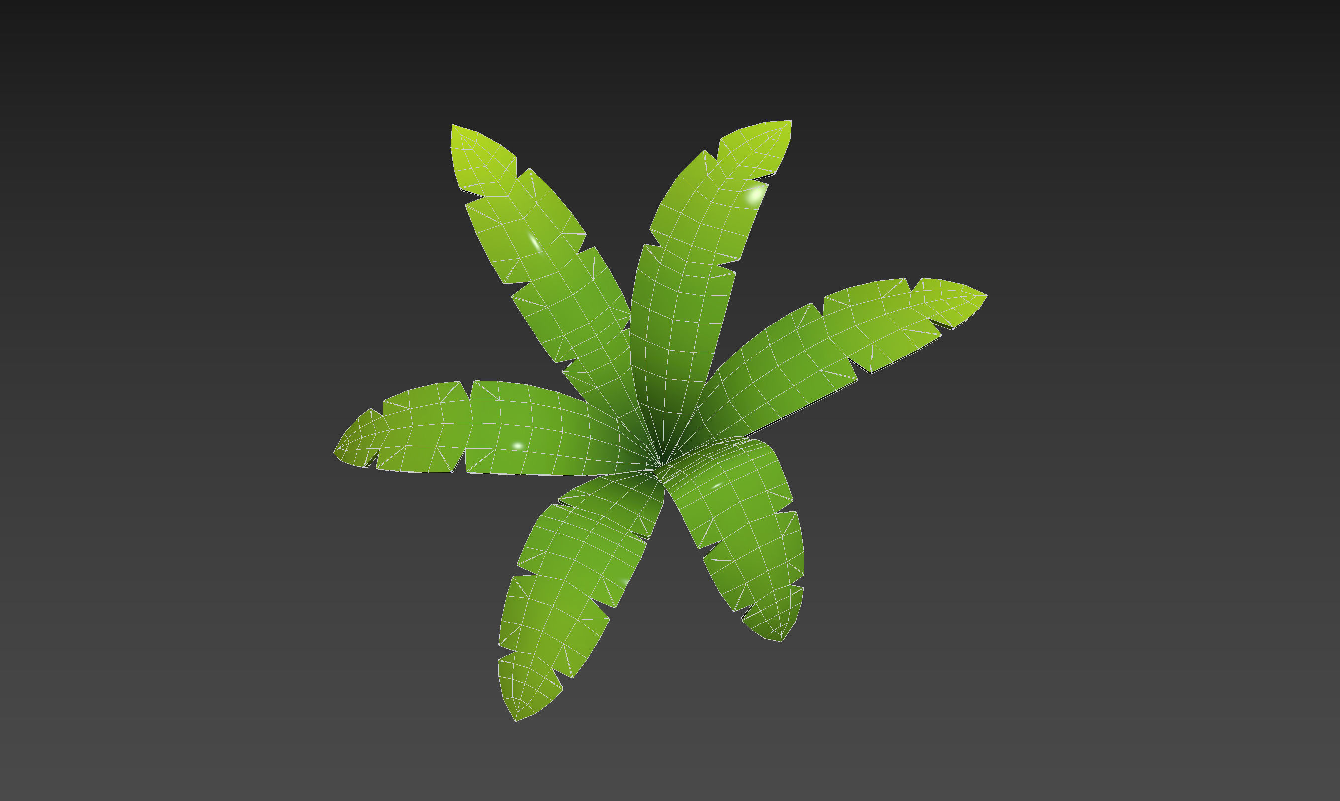 Low Poly Fern 001 Low-poly 3D model_19