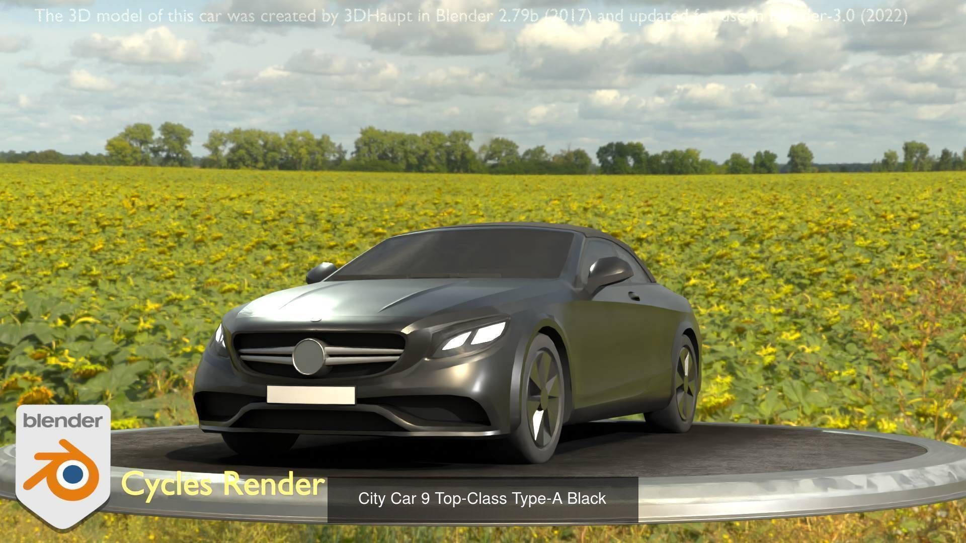 All City Cars 3D Model Collection_62