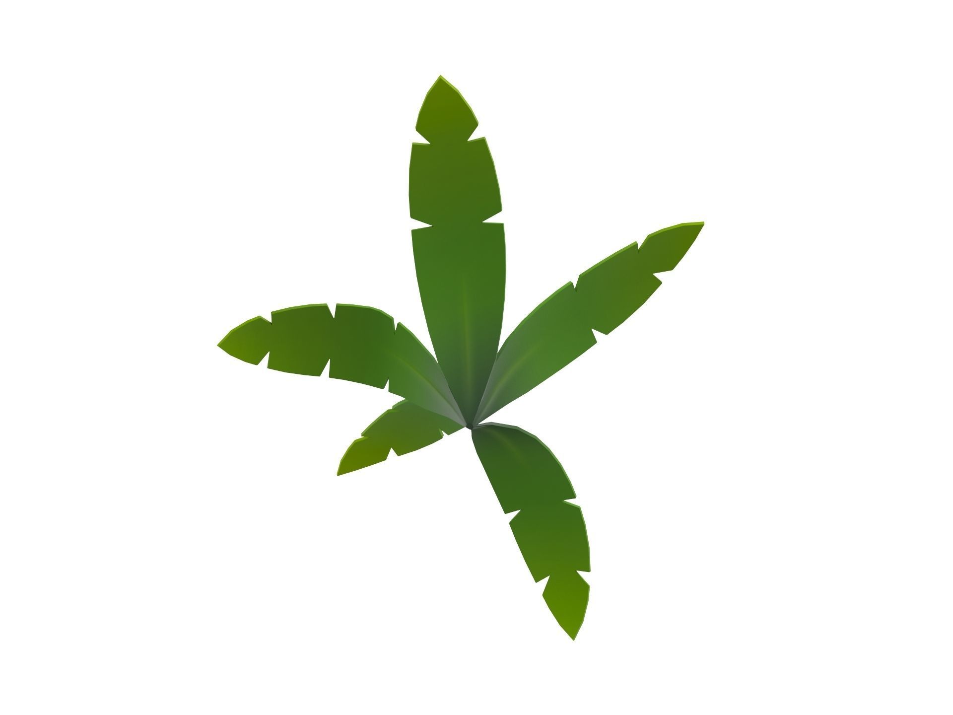 Low Poly Fern 002 Low-poly 3D model_9