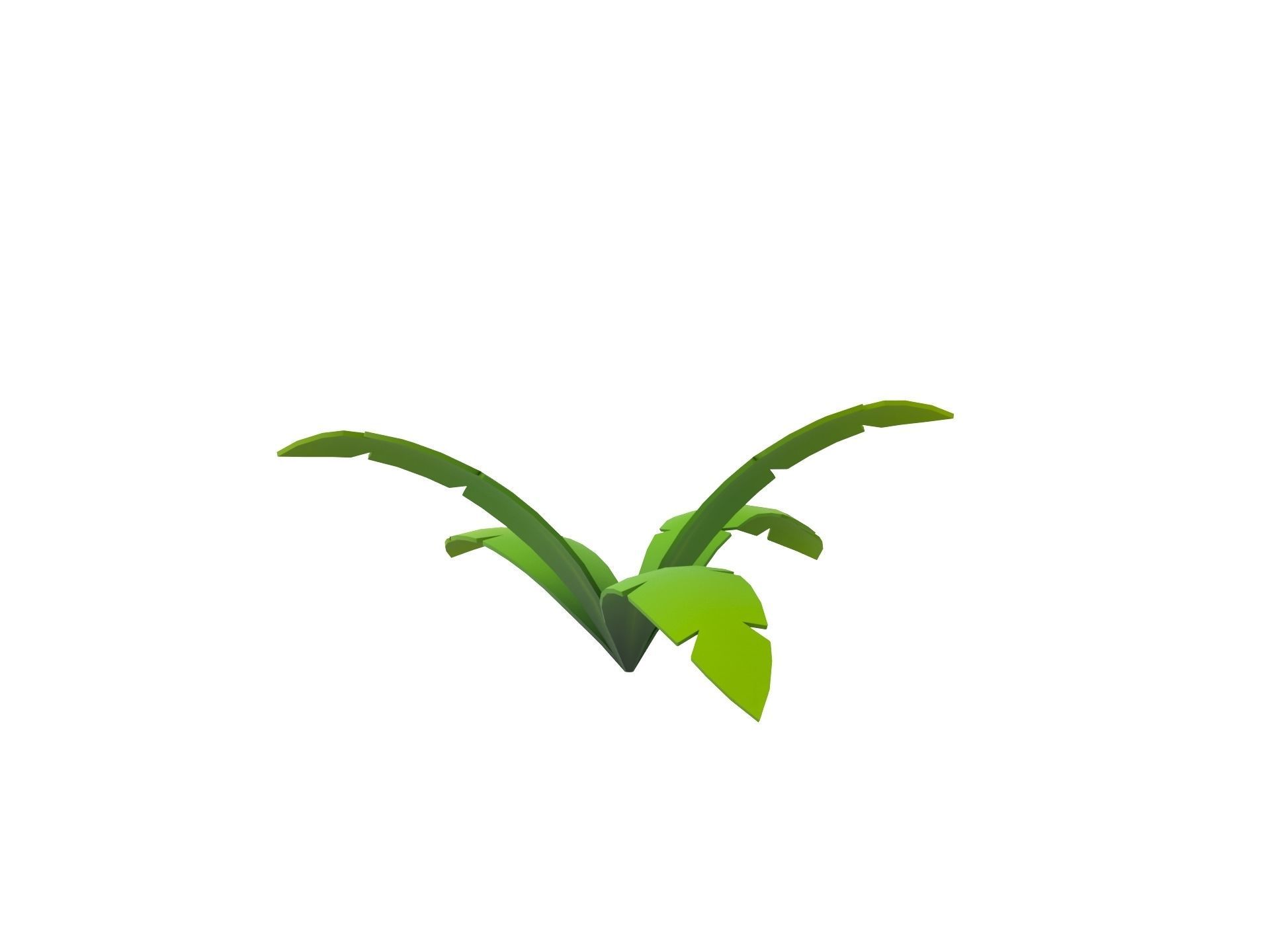 Low Poly Fern 002 Low-poly 3D model_5
