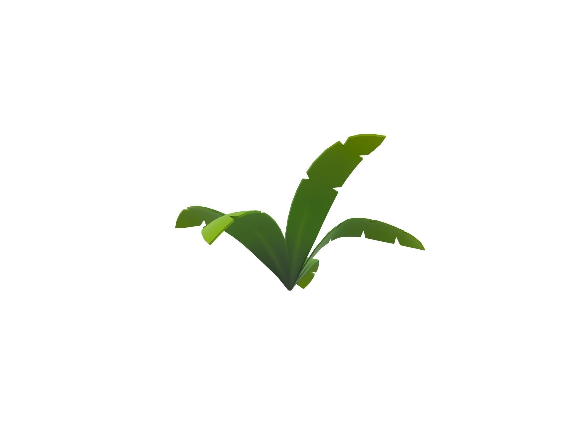 Low Poly Fern 002 Low-poly 3D model_4