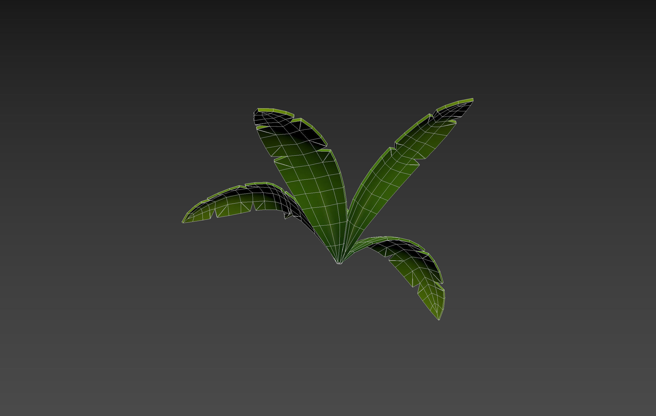 Low Poly Fern 002 Low-poly 3D model_20
