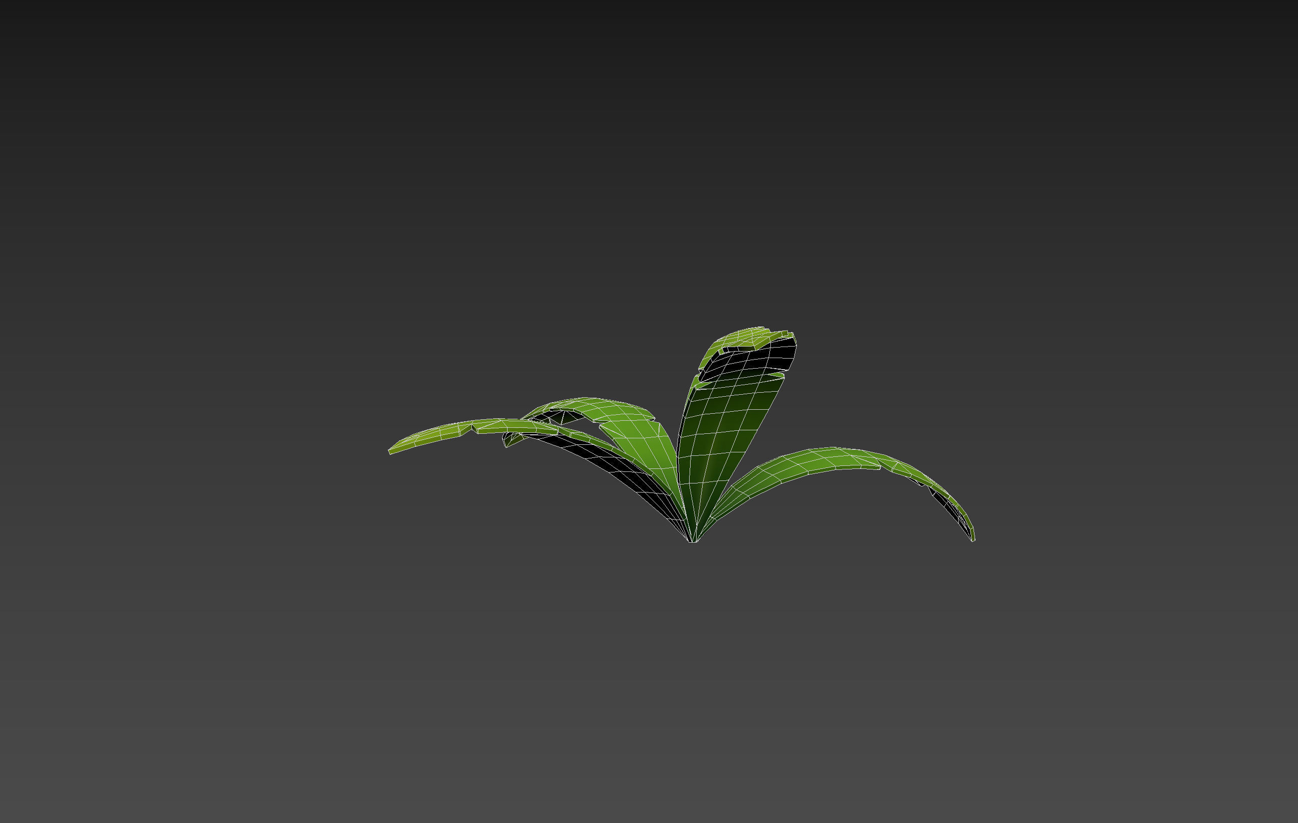 Low Poly Fern 002 Low-poly 3D model_18