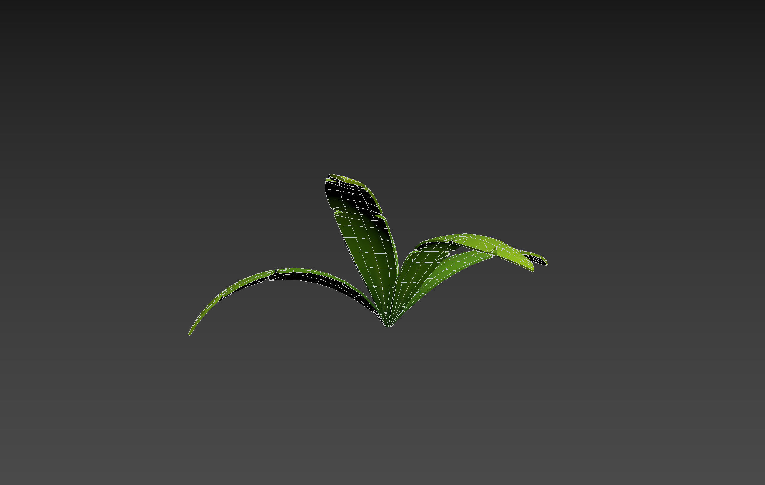 Low Poly Fern 002 Low-poly 3D model_14
