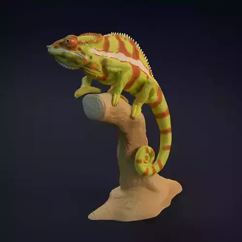 Chameleon for 3D Printing