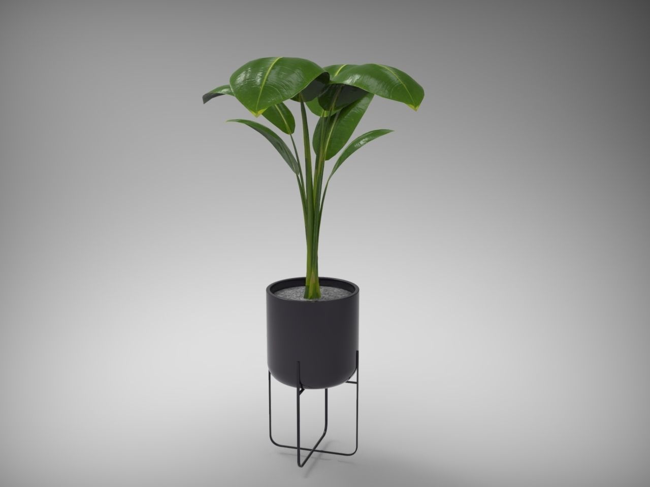 Planter Pot 3D model_1