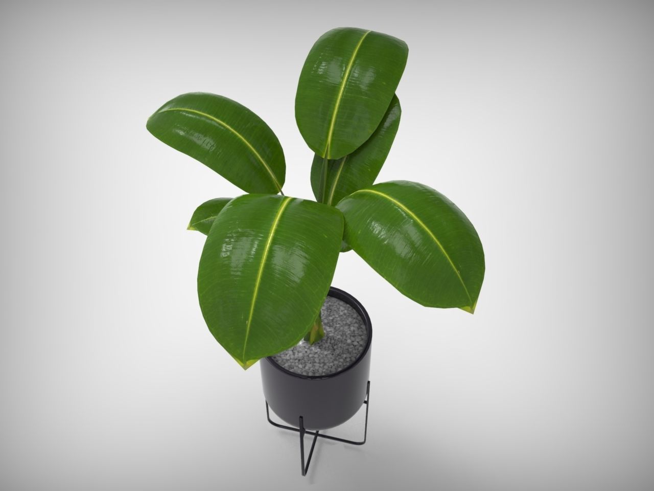 Planter Pot 3D model_2