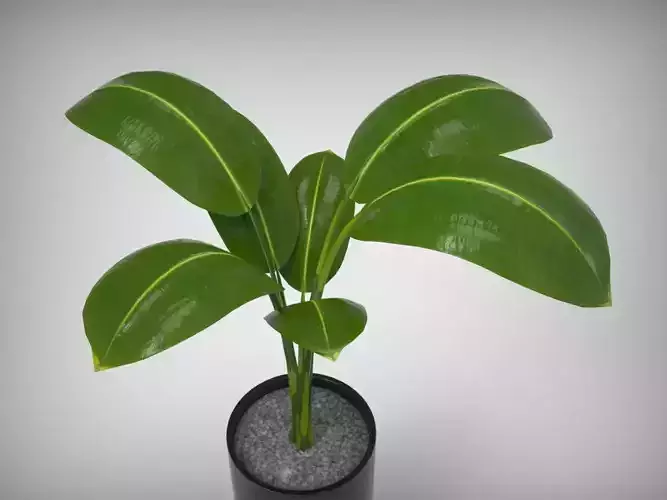 Planter Pot 3D model